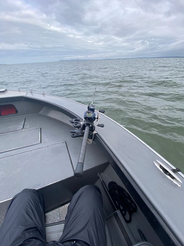 2 fish pole.JPG