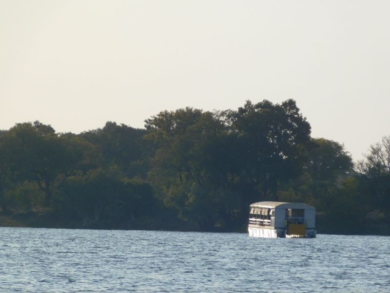 DSCN0511.JPG