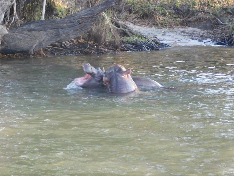 DSCN0519.JPG