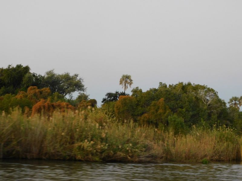 DSCN0605.JPG