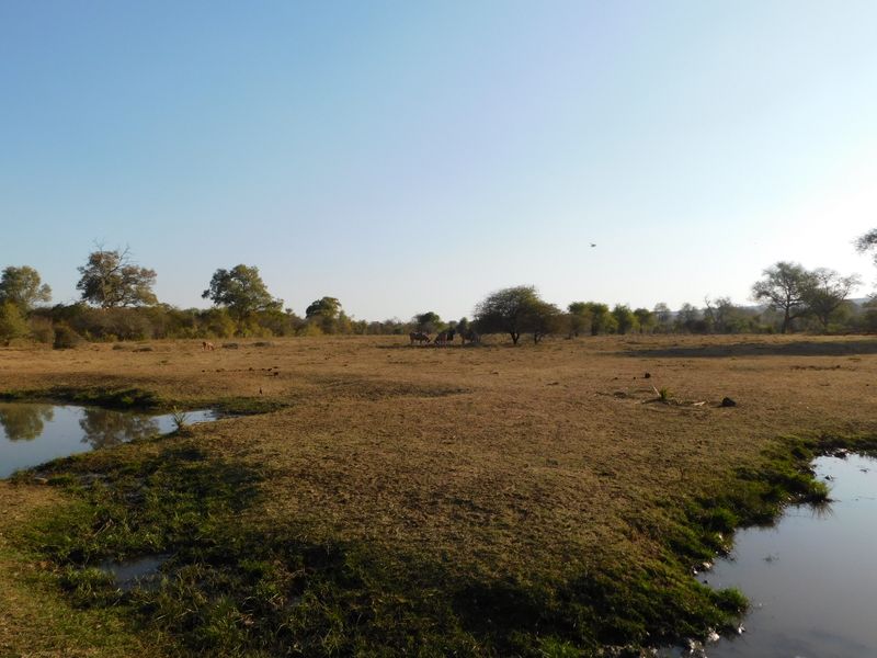 DSCN0608.JPG