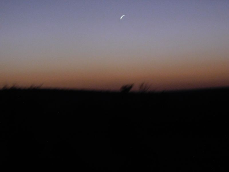 DSCN0760.JPG