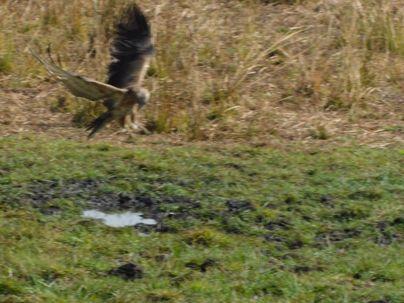 DSCN0974.JPG