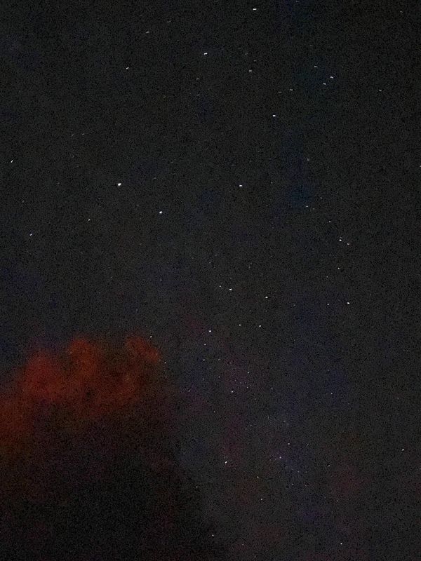 IMG_7768.jpg
