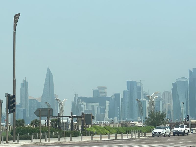 IMG_7856.jpg