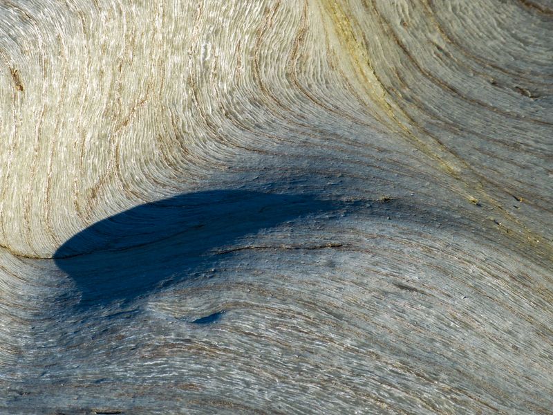 shadow 084