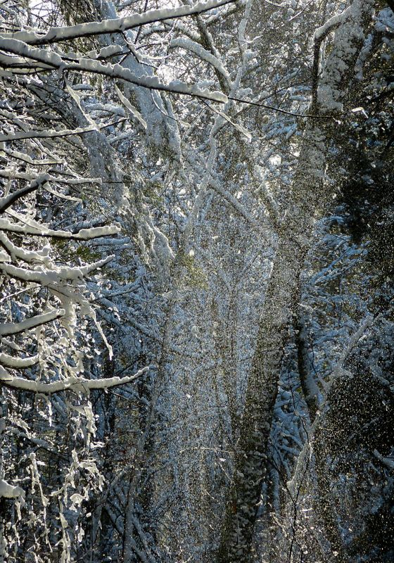 snow 535