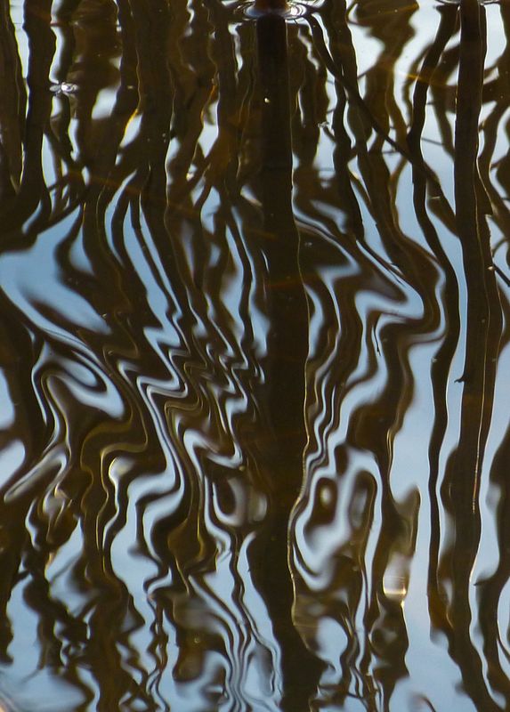 surfaces 258