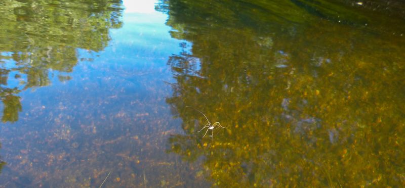 walkin' on water 854