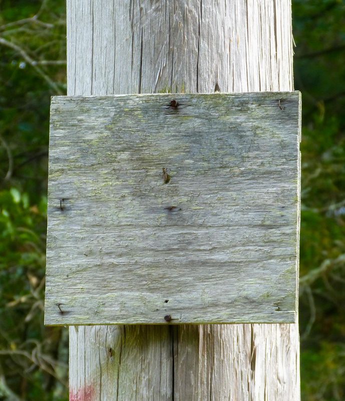 sign of the times - nothing to see here 446