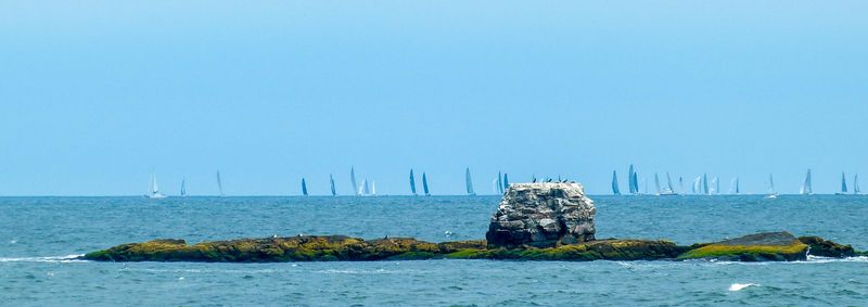 whale rock 070