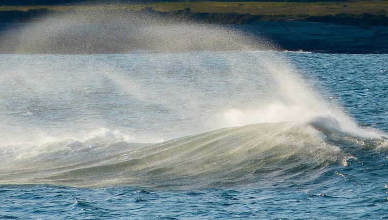 wave 731