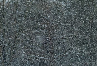 snow 846