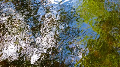 surfaces_10