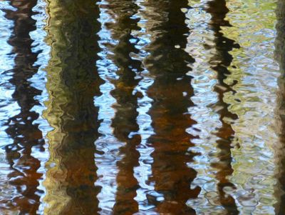 surfaces_10