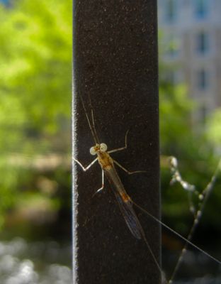 natural_imaging_22