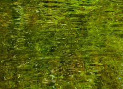 natural_imaging_22