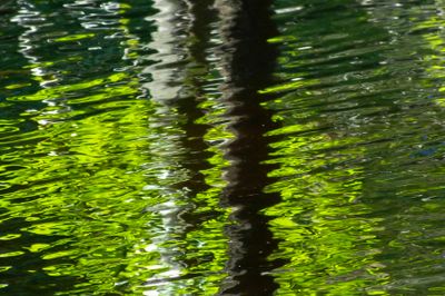 surfaces_10