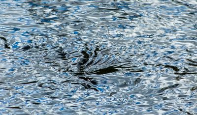 surfaces_10