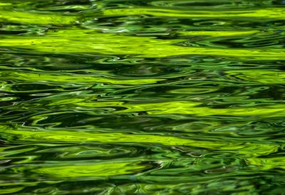 surfaces_10