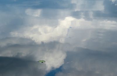 natural_imaging_22