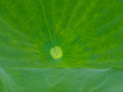 natural_imaging_24