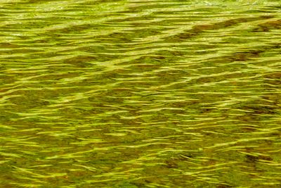 surfaces_11