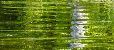 surfaces_11
