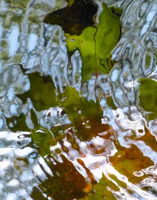 surfaces_11