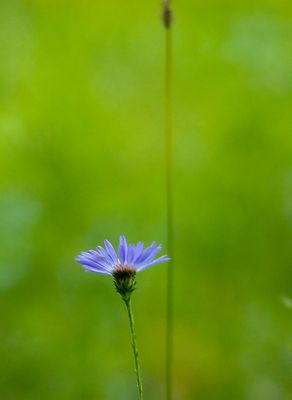 natural_imaging_23