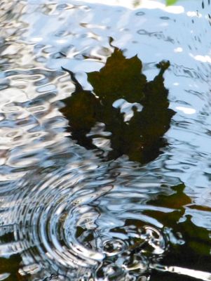 surfaces_11
