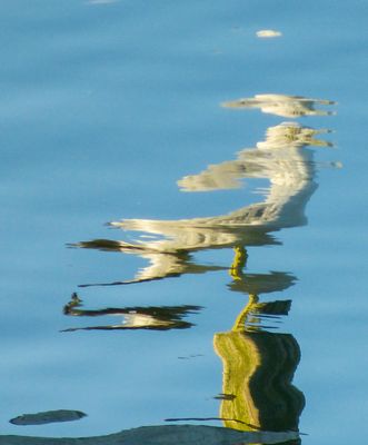 surfaces_11