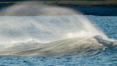 wave 731