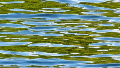 surfaces_11