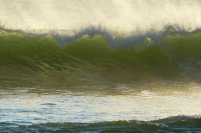 natural_imaging_24