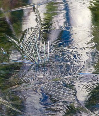 ice_is_nice_and_other_winter_tales_5