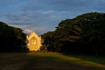 PDSC05247 WB crop.jpg
