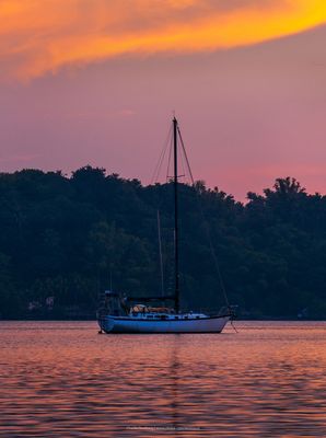 P_7R41475 nov 3.jpg