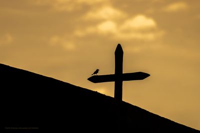 p_7R40823-2.jpg