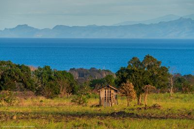 p_7R43766.jpg