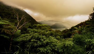 p_7R47231.jpg