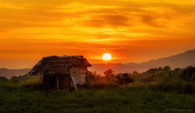P_7R49936-3 A.jpg