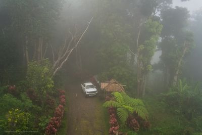 P_7R46086.jpg