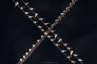 p_7R42788.jpg