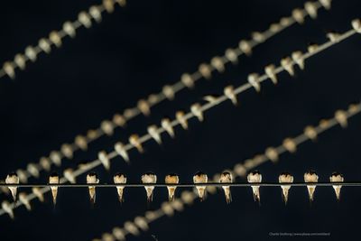 P_7R42807.jpg