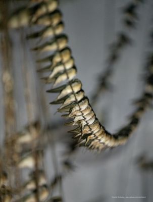 P_7R42844.jpg
