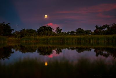 Wonders of the Sky