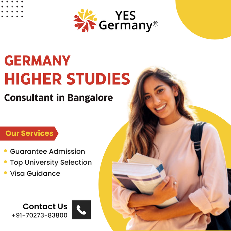 German Education Consultant