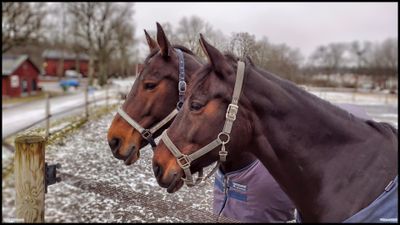 IMG_20230124_143004336_2 B_HDR.JPG