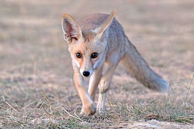 DSC_4570.jpg